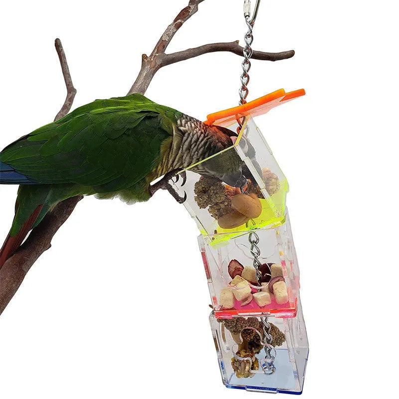 Clear acrylic parrot foraging toy measuring 32cm tall for holding bird food