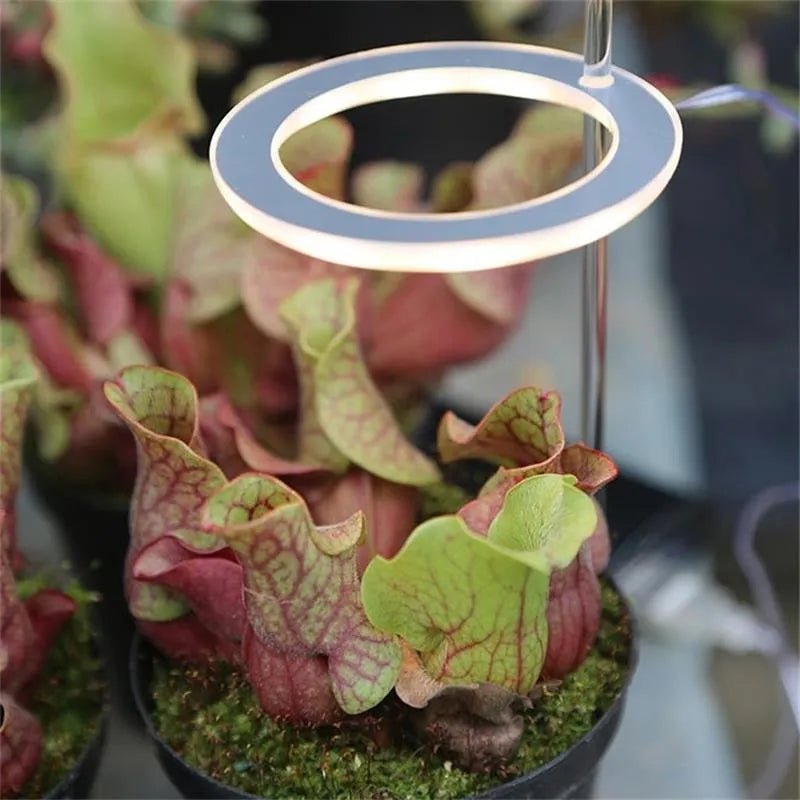 USB powered LED plant grow light with full spectrum LEDs and acrylic mounting stick.