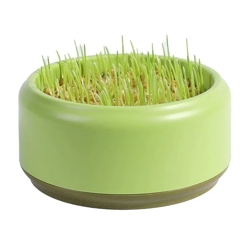 Hydroponic cat grass kit with cultivation cup and seed packs in blue, green, and yellow options