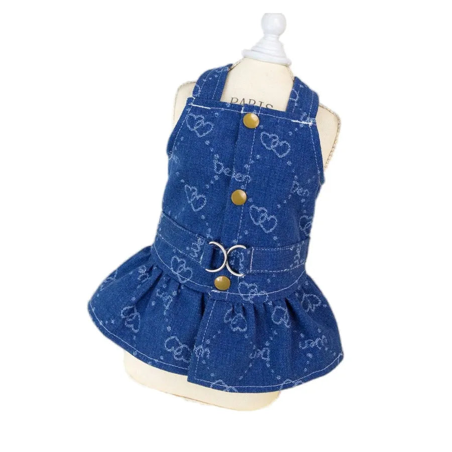 Teddy Bichon small dog wearing denim princess dress with bracket skirt style in HNXD colour