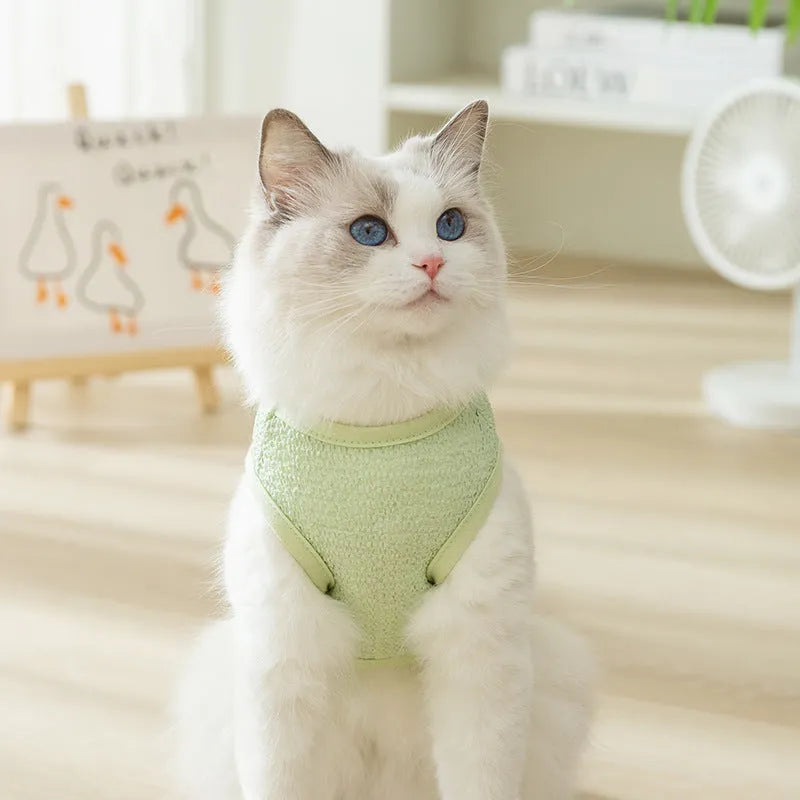 Knitted fabric cat clothes with bear patch in blue, green or yellow colours