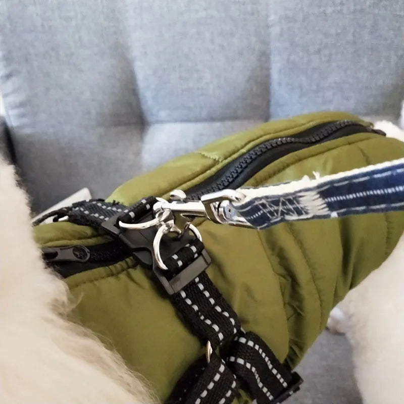 A red waterproof dog coat with an integrated harness on a Labrador retriever.