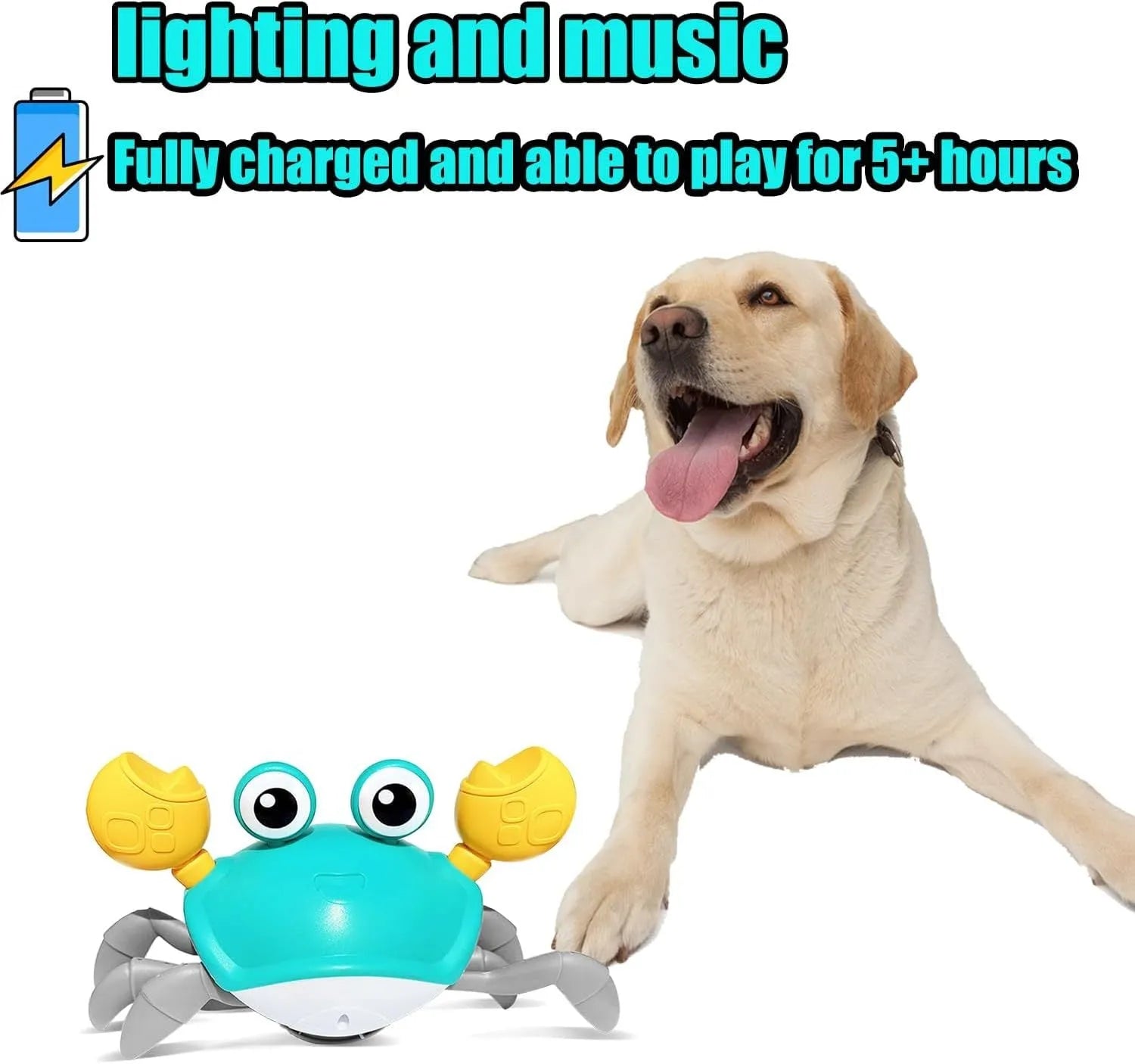 Blue electronic crab dog toy with lights on, moving sideways on a wooden floor.