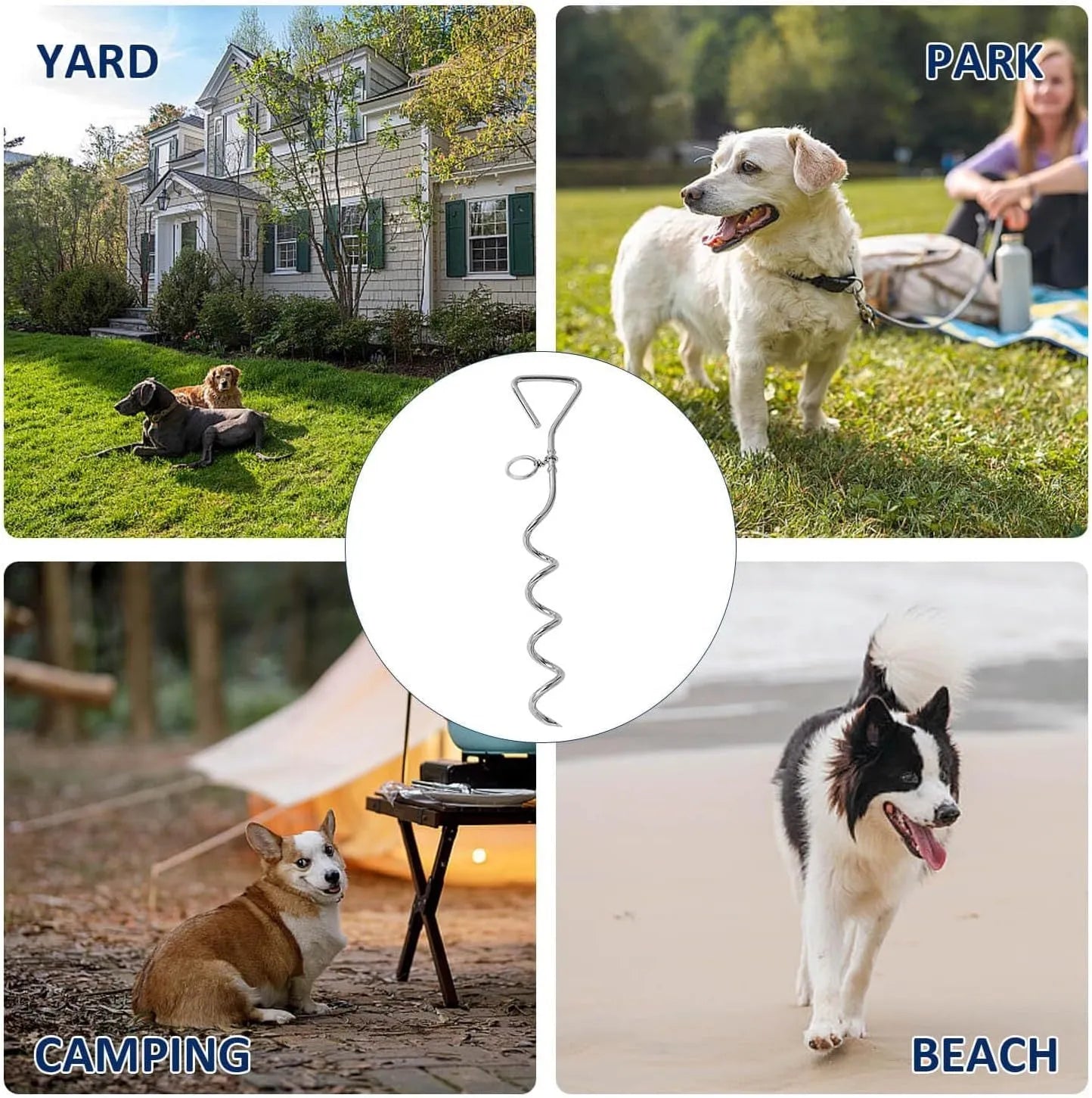 Silver spiral dog tie out stake for ground anchoring in outdoor sandy soil conditions