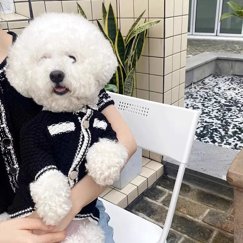 Korean style puppy sweater with pearl collar in black or white colour for small dogs