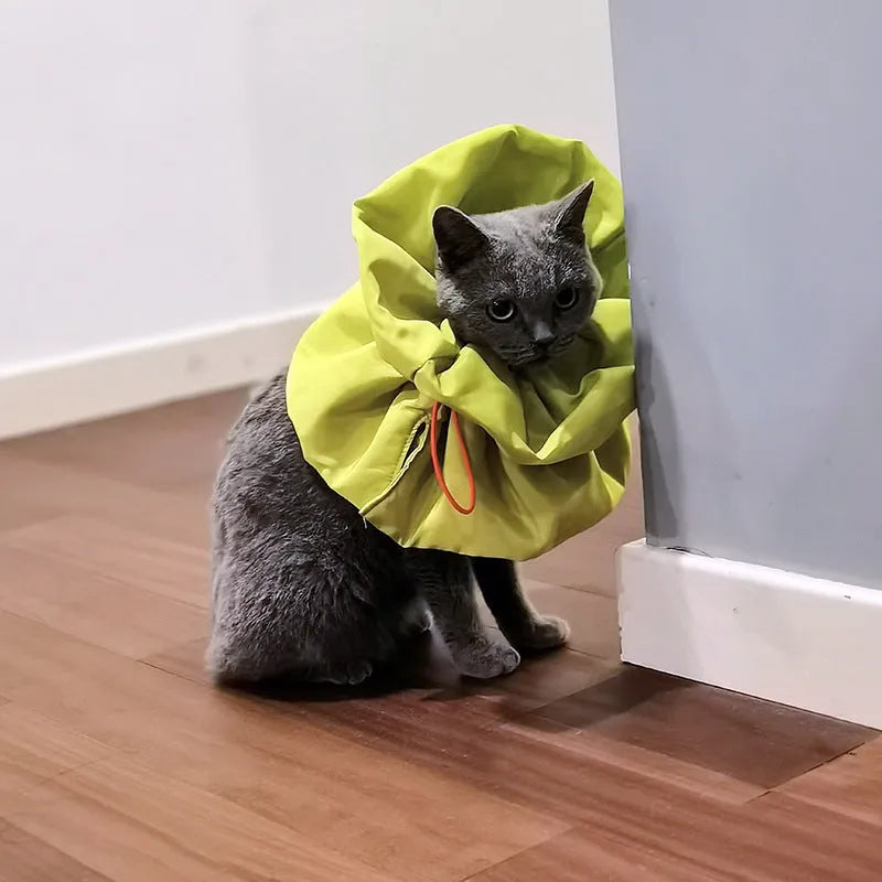 Soft blue adjustable cat recovery collar cone on a grey background