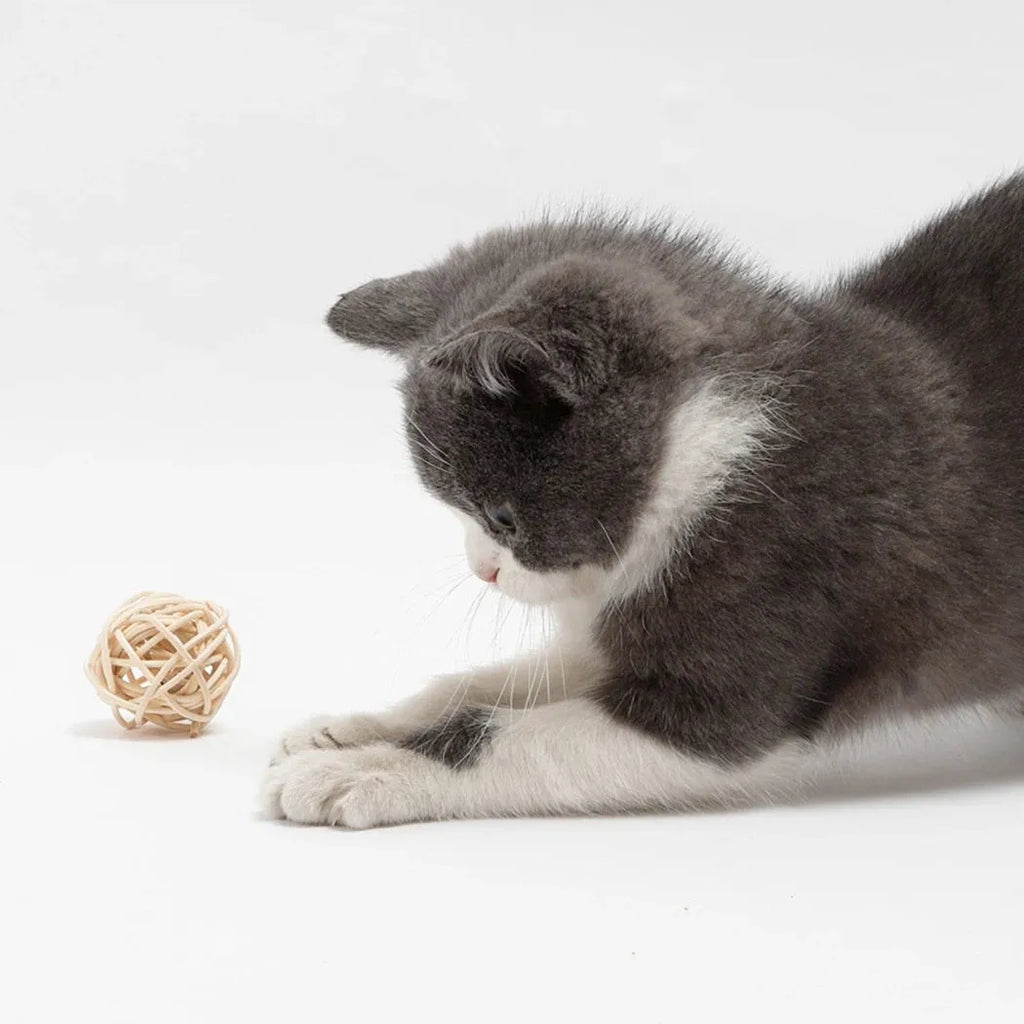 Two cat toys: hollow rattan ball and faux feather ball with bell on wooden floor