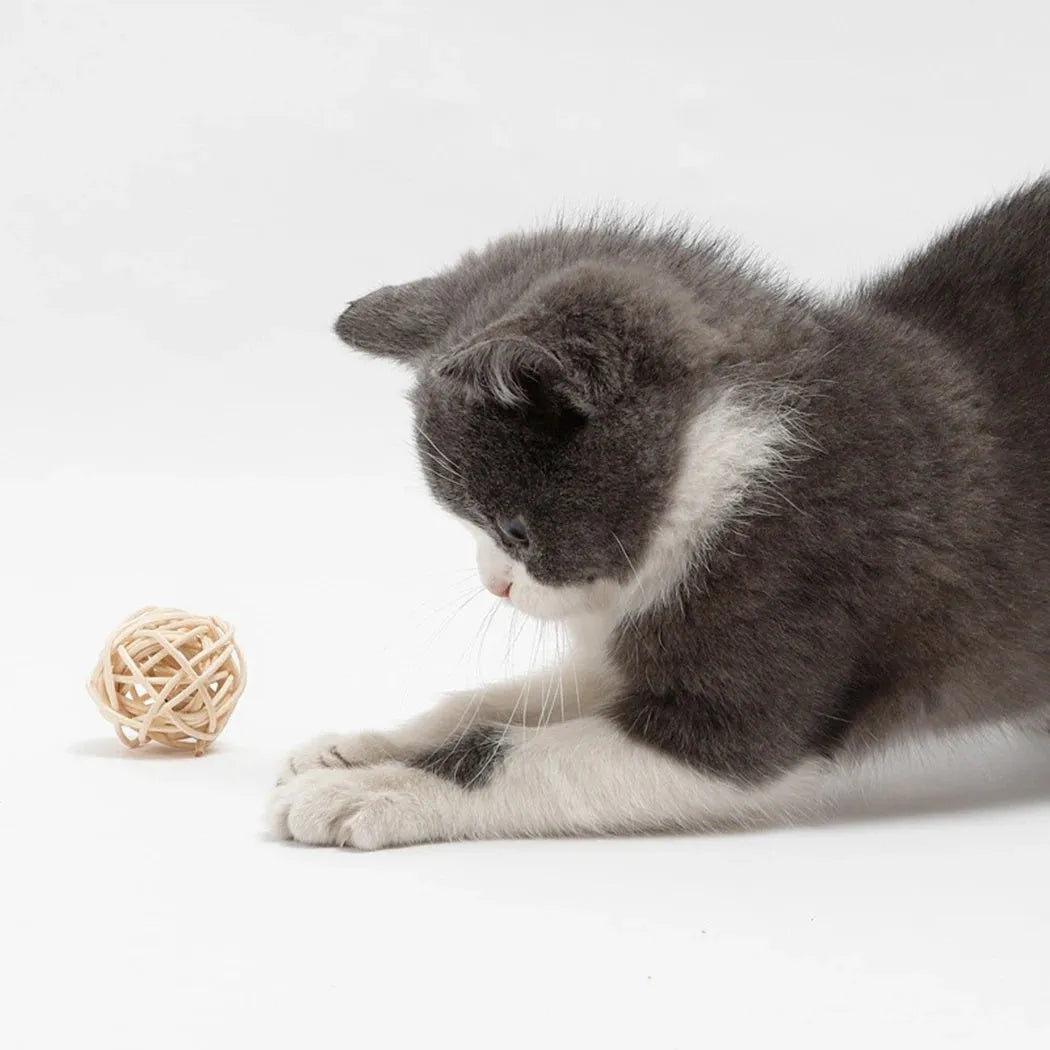 Two cat toys: hollow rattan ball and faux feather ball with bell on wooden floor