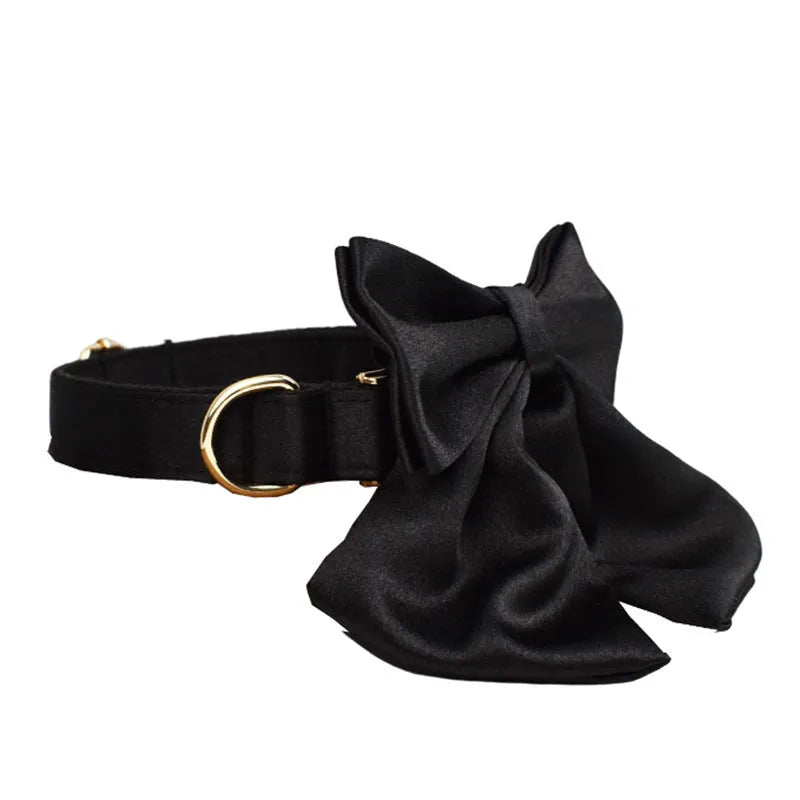Dog wearing cloth collar, leash, chest harness, decorative bow, and matching vest accessory set