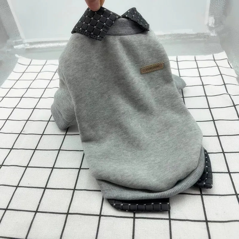 Grey dog wearing fake two-piece velvet sweater with detachable collar hoodie