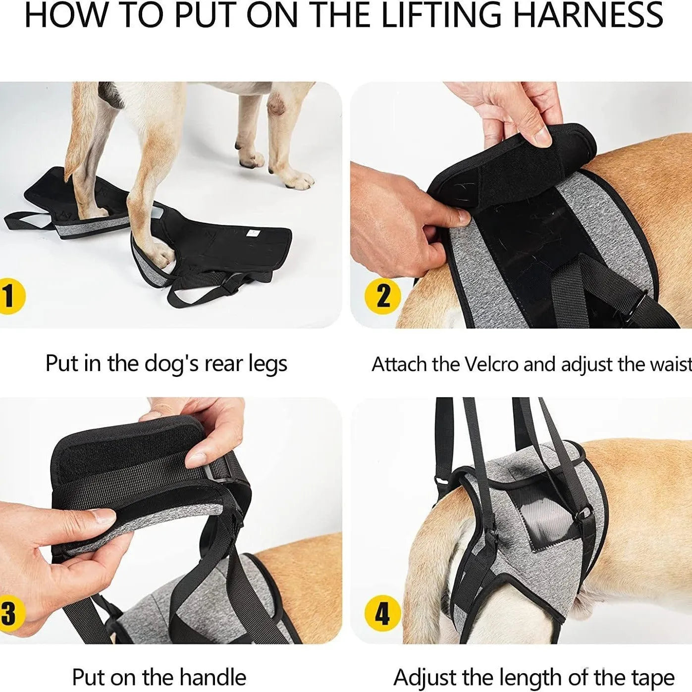 Grey neoprene dog hind leg recovery belt shown with sizing chart for waist and thigh measurements