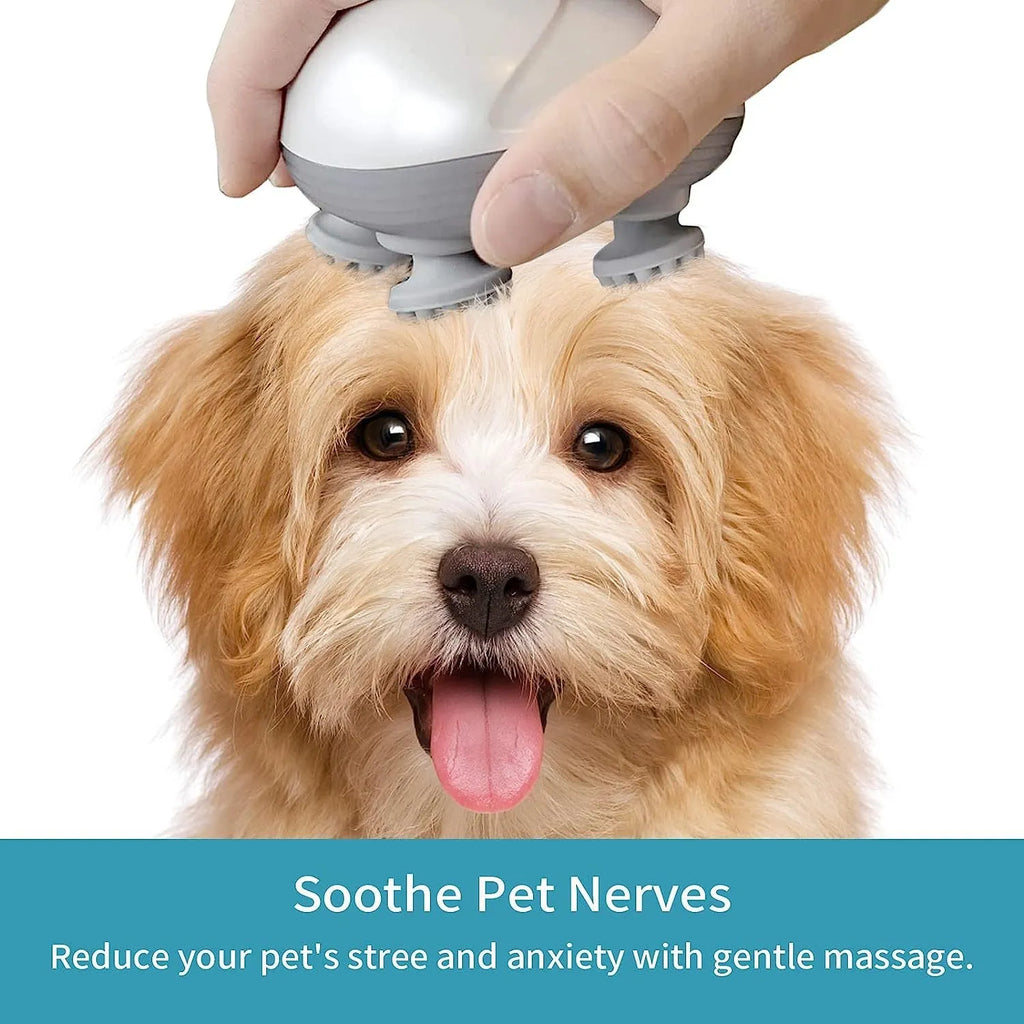 Blue handheld electric pet massager with four rotating heads on a white background