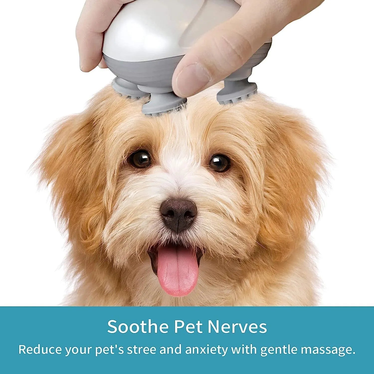 Blue handheld electric pet massager with four rotating heads on a white background