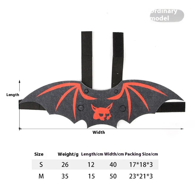 Black cat wearing an orange felt batwing Halloween costume with bell.