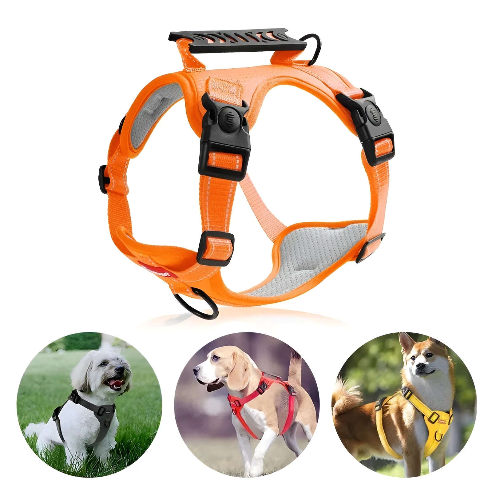 Polyester dog harness in multiple colours with chest attachment for secure walking control