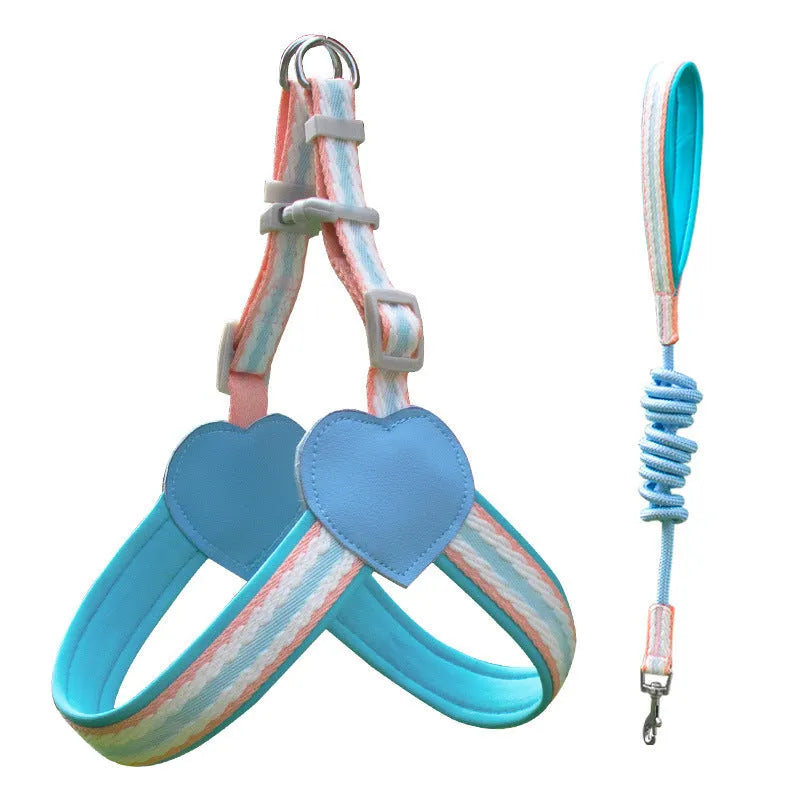 Nylon dog walking chest strap with hand holding rope in various colours and sizes