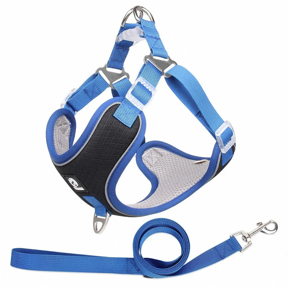 Adjustable dog harness with breathable mesh fabric and reflective piping in multiple colour options