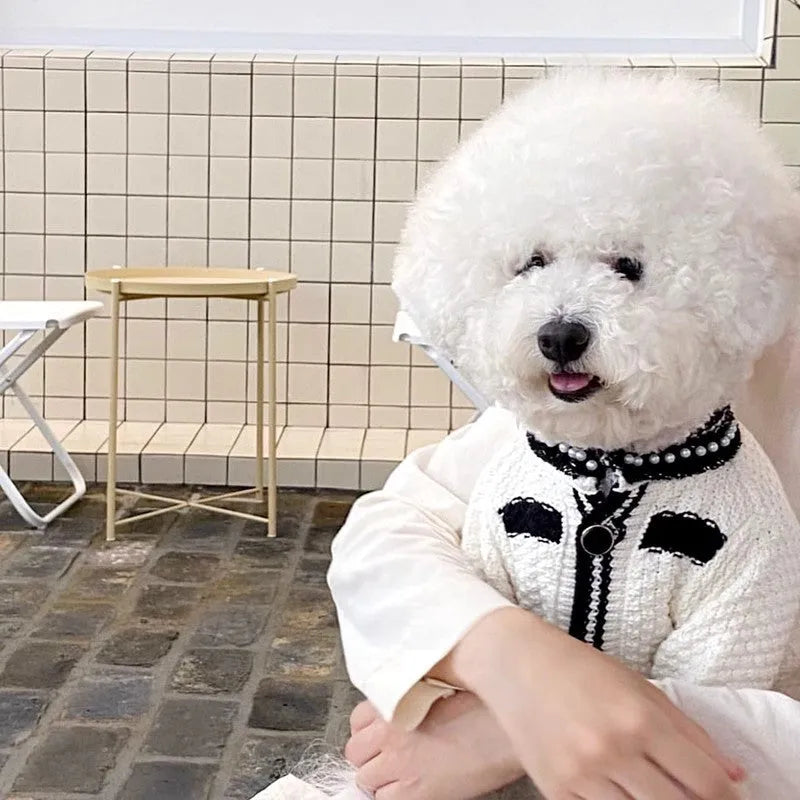 Korean style puppy sweater with pearl collar in black or white colour for small dogs