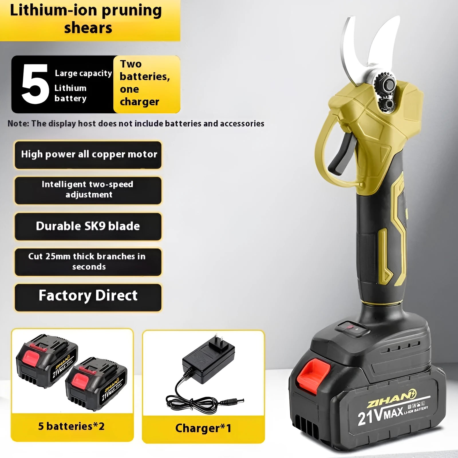 Wireless electric pruning clippers with brushless motor and lithium battery in plastic storage case