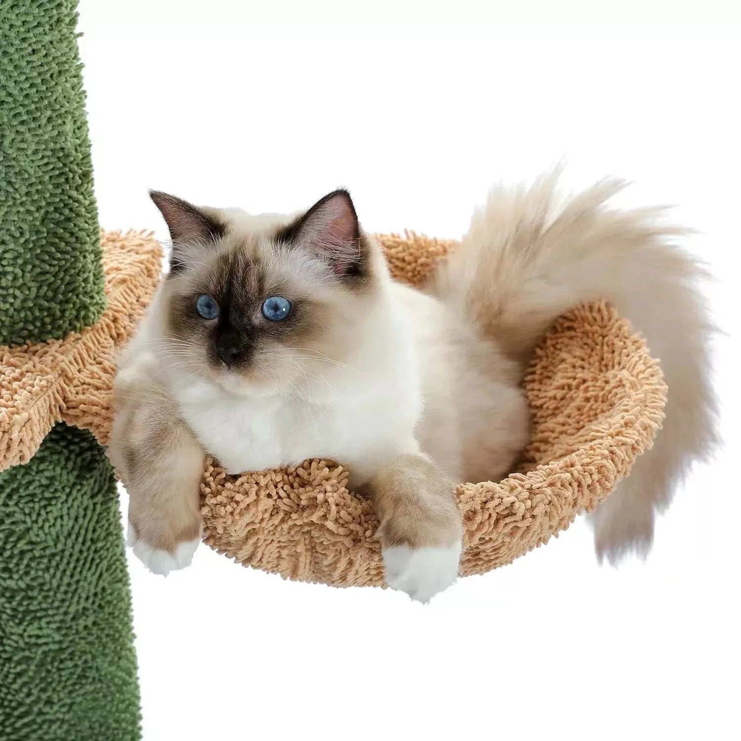 Tall solid wood cat climbing frame with integrated scratching board and toy