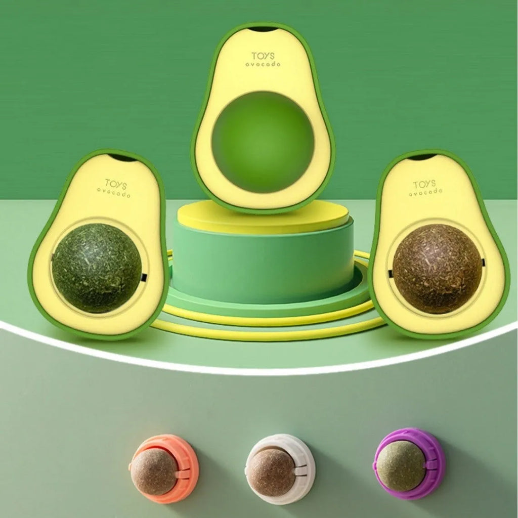 Colourful plastic cat toy with textured teeth cleaning surface in avocado bug baby fruit flavour