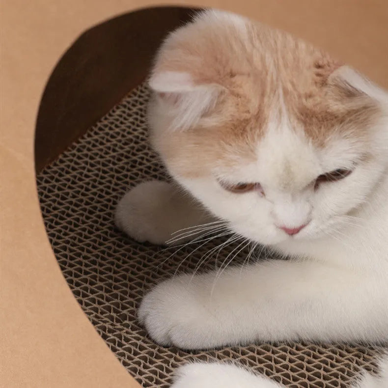 Brown paper bag cat bed with integrated scratch board, dimensions 40 by 30 by 53 cm