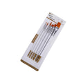 Set of six paint brushes with wooden handles and silver ferrules on a white background
