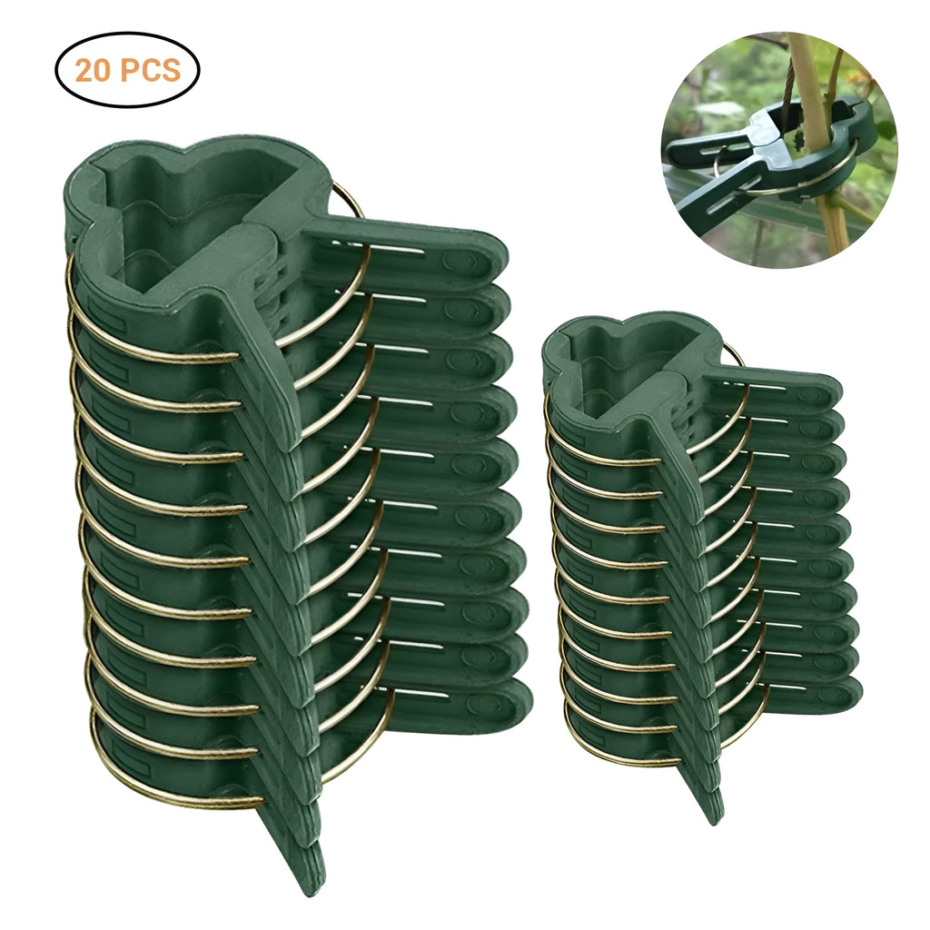 Green plastic and zinc plant fixing clips for supporting climbing tomato and cucumber vines.