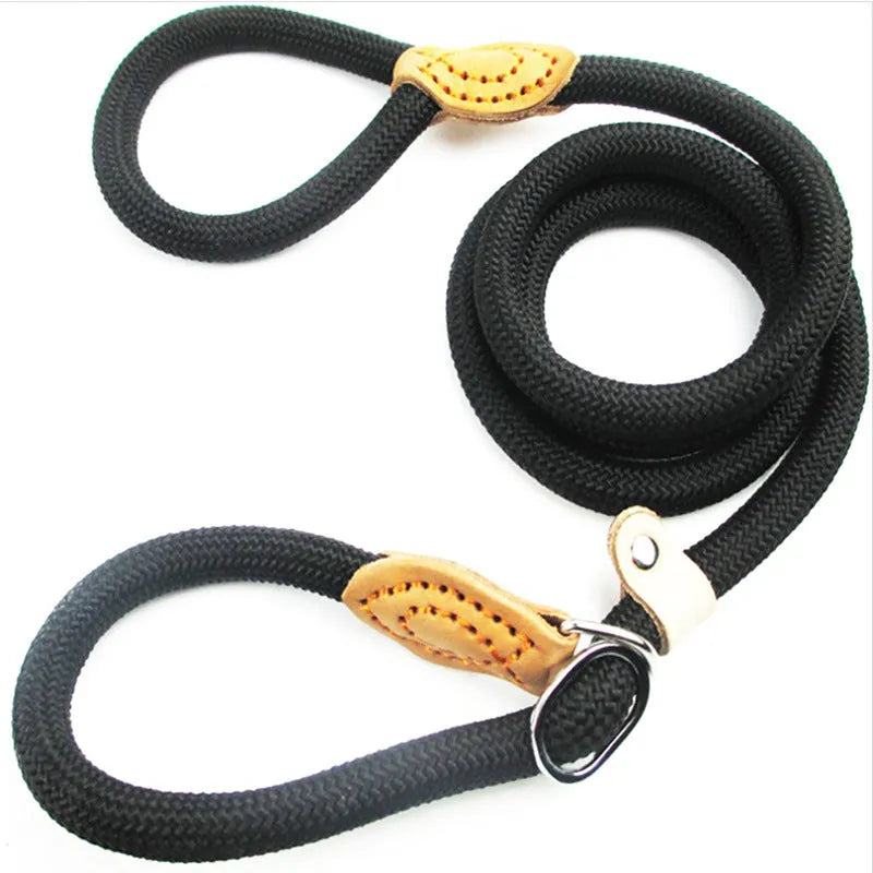 Brown nylon P chain dog leash held in a hand, showing its full 2.1 metre length.