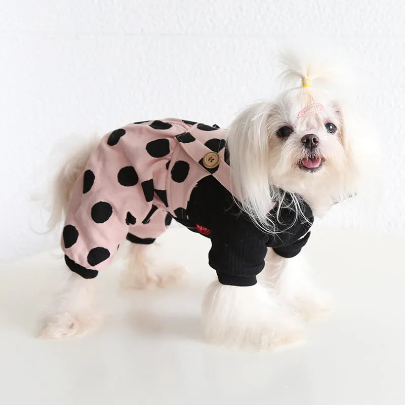 Dog wearing couple clothes with lapel and shoulder strap design in casual cloth style