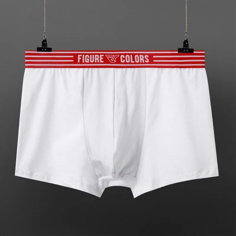 Men's cotton knitted low-waist boxers in solid colours, size range M to 3XL, nine colour options
