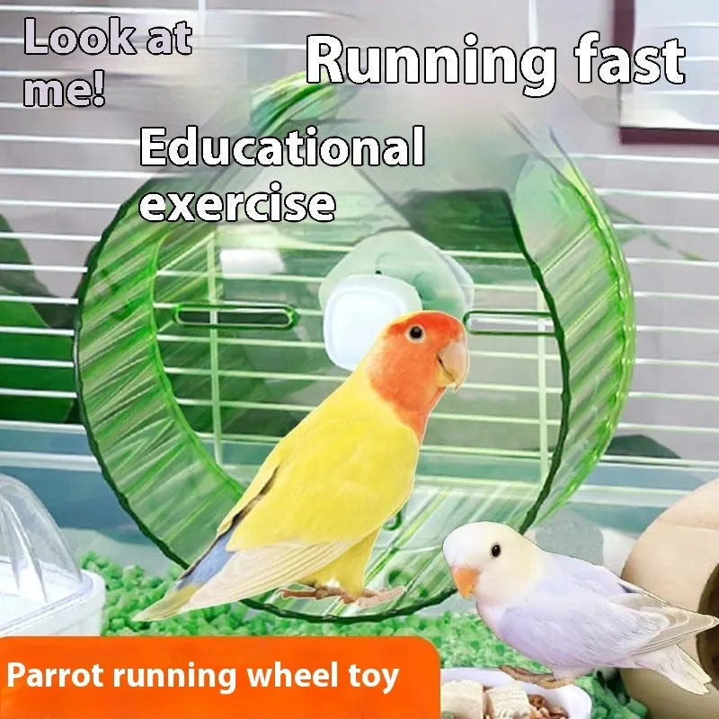 21cm plastic parrot running wheel toy in transparent, green, grey, orange, or purple colours for bird exercise