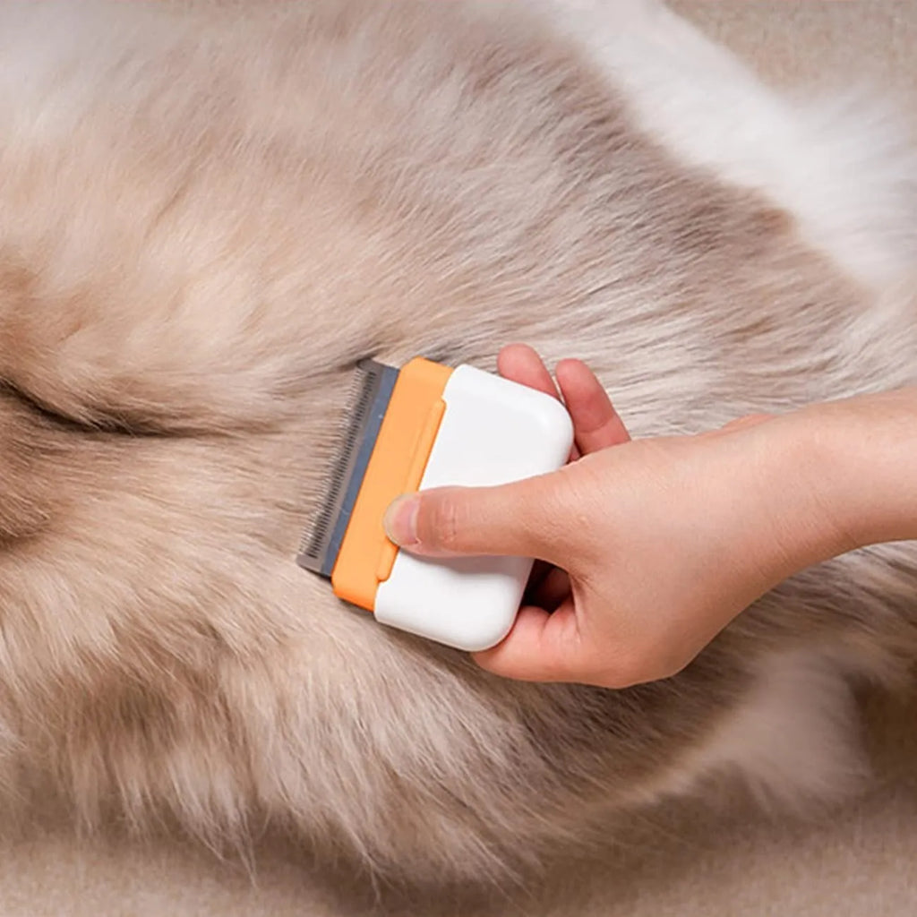 Blue double-sided pet grooming comb with stainless steel teeth for deshedding and massage
