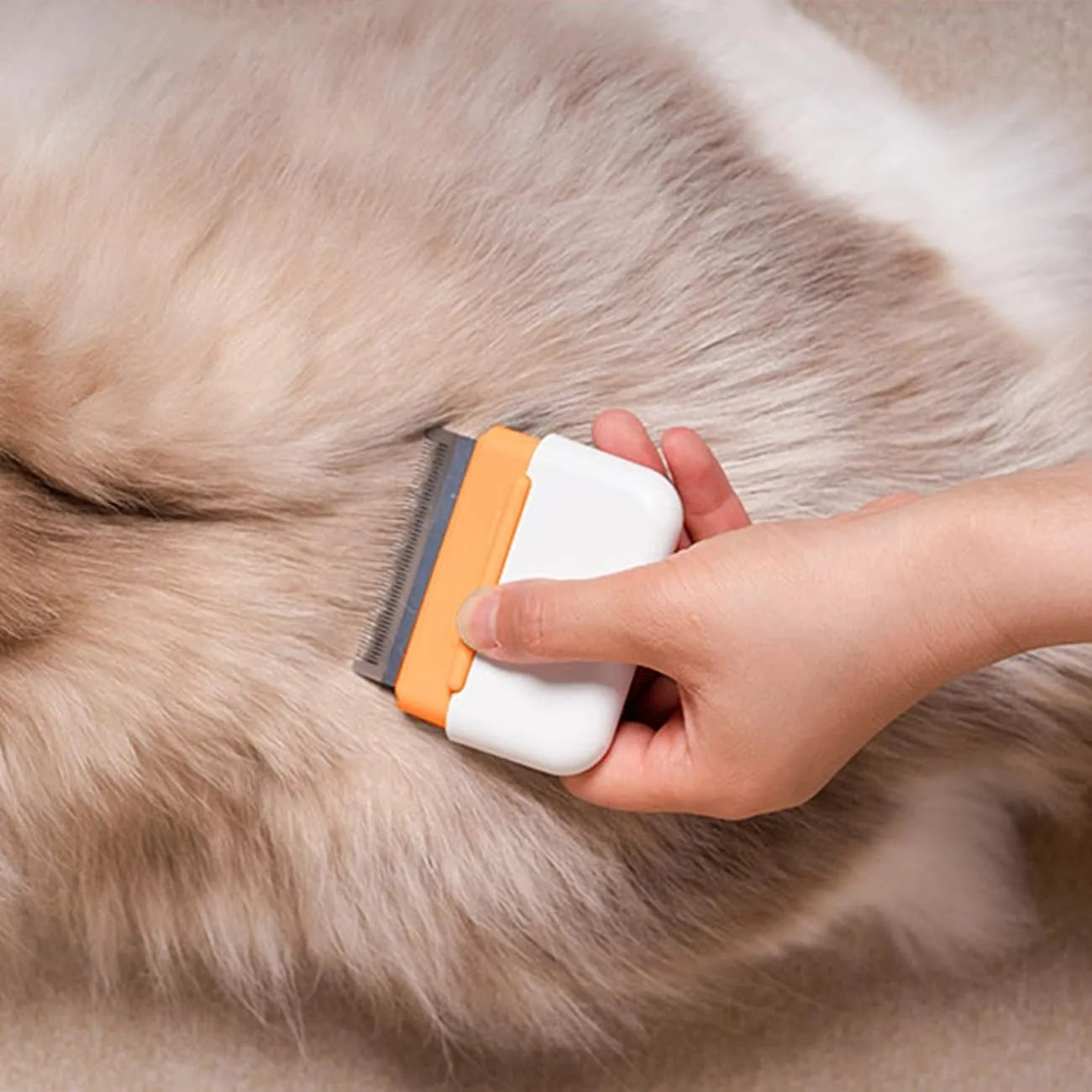 Blue double-sided pet grooming comb with stainless steel teeth for deshedding and massage