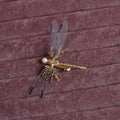 Golden dragonfly-shaped side clip headdress for women's hair with electroplated alloy construction