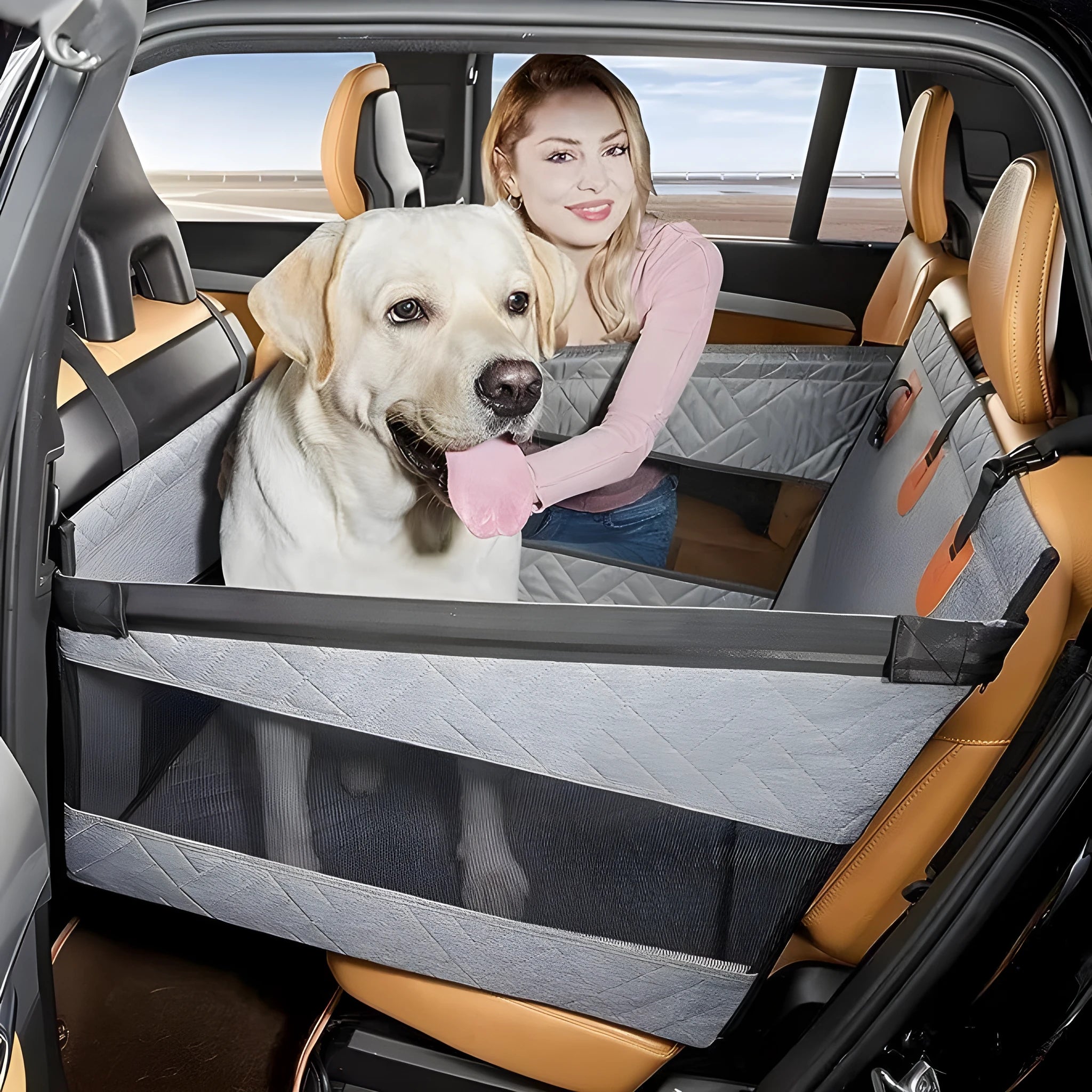 Grey water-resistant dog bed with removable cushion measuring 56x56x40 cm