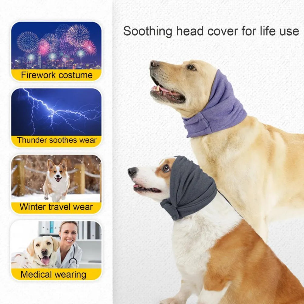 A black dog wearing a purple polyester calming hoodie that covers its head and ears.