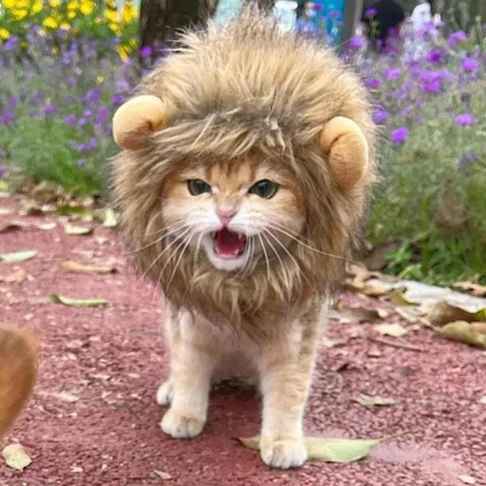 Lion mane pet costume wig on cat showing artificial hair texture and adjustable elastic band