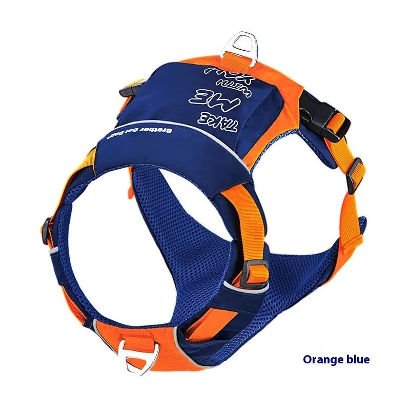 Orange and blue nylon dog chest strap vest lead shown on a dog.