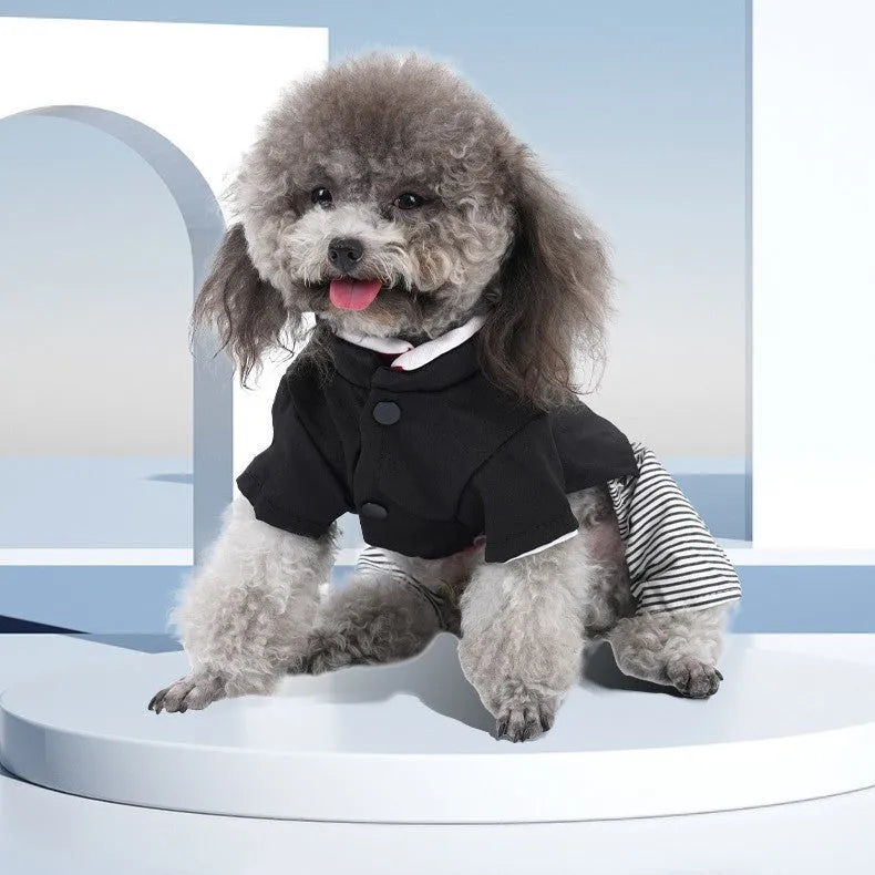 Cotton poodle dog clothes in skirt and four-foot pants designs for spring and autumn seasons
