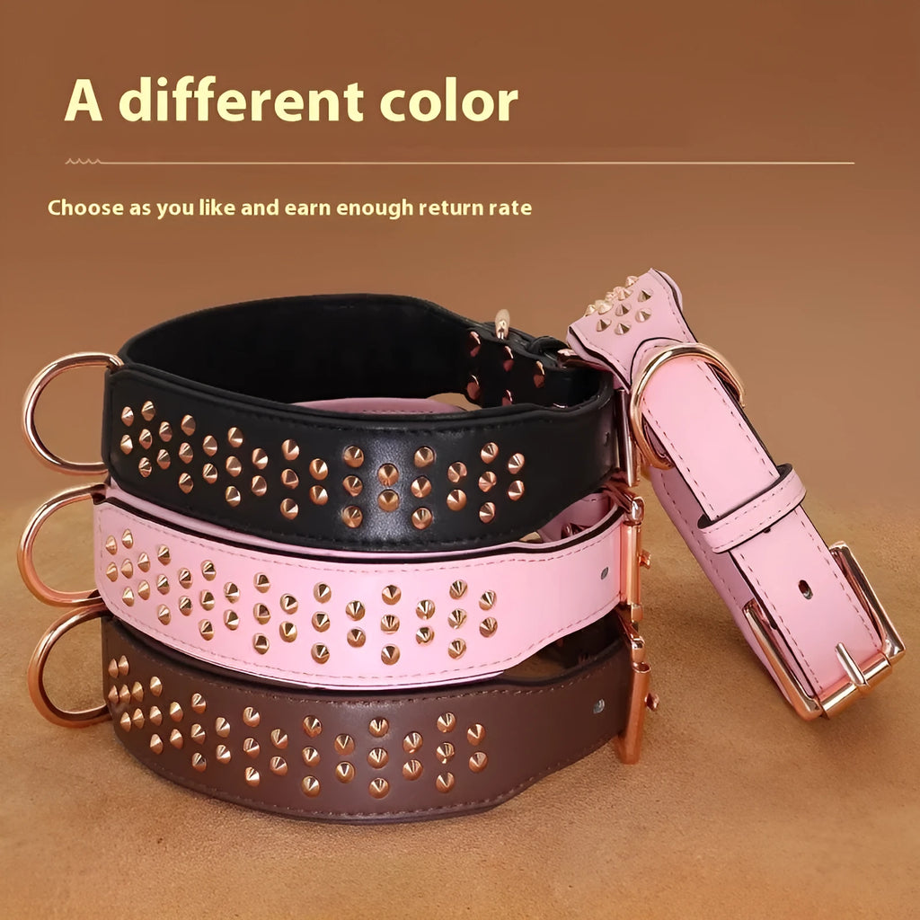 Leather dog collar in chocolate colour with metal rivets and adjustable fastener.
