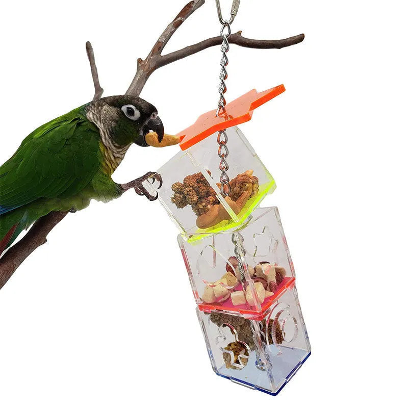 Clear acrylic parrot foraging toy measuring 32cm tall for holding bird food