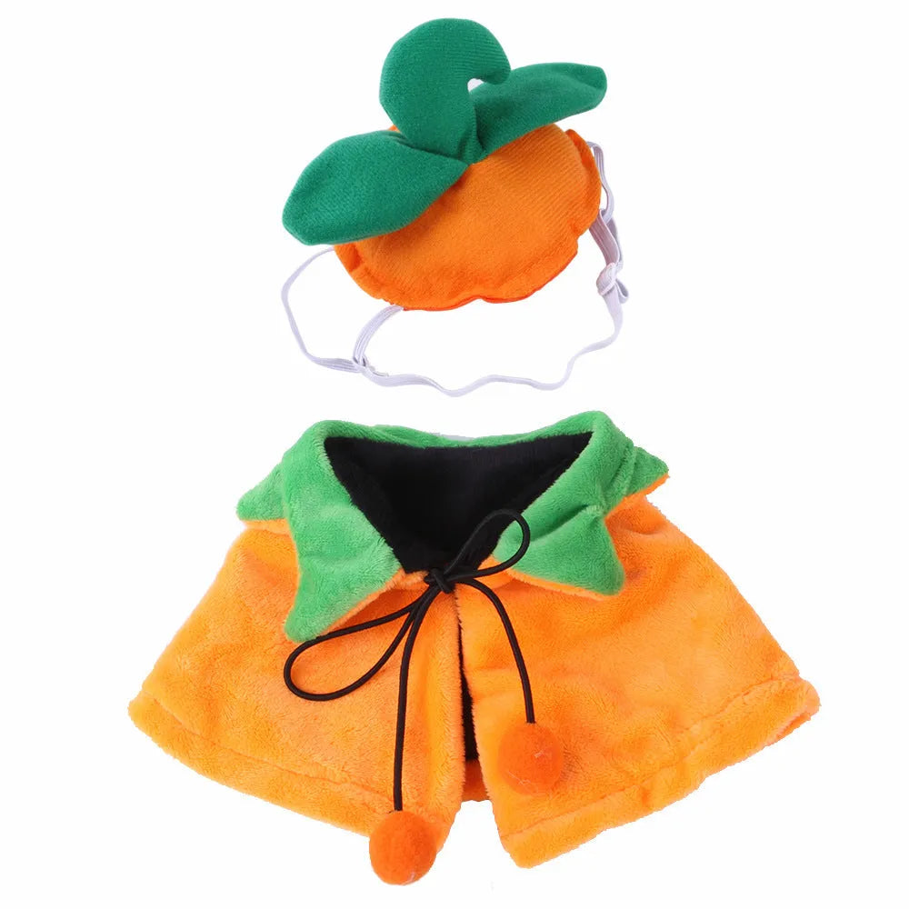 Reversible Halloween pumpkin dog cloak on pet with plush fabric in orange and black