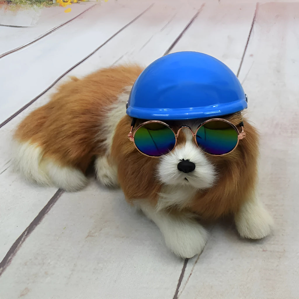 Plastic dog motorcycle cap helmet in various colours and sizes on a table
