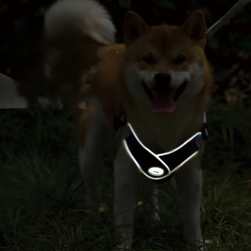 Adjustable dog harness with reflective mesh in multiple colours, showing metal ring and leash attachment