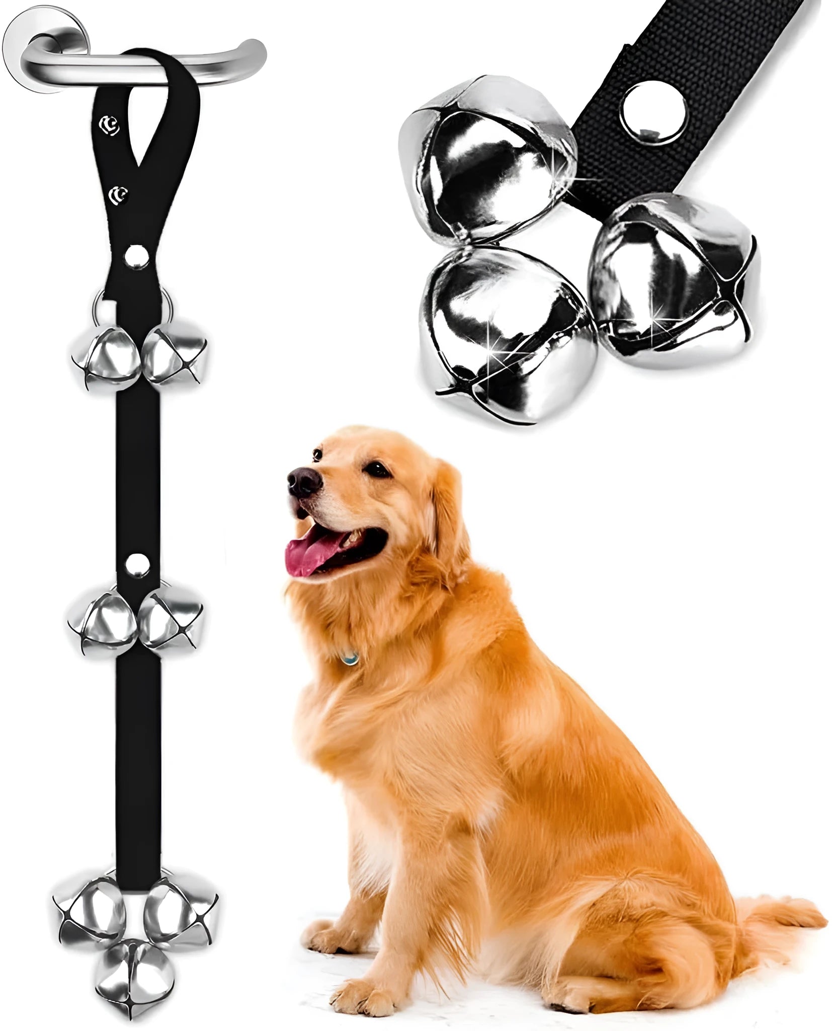 Dog training doorbell with several silver metal bells hanging from an adjustable nylon leash.