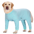 Four-legged striped dog shirt on medium breed dog showing sky blue colour and full leg coverage