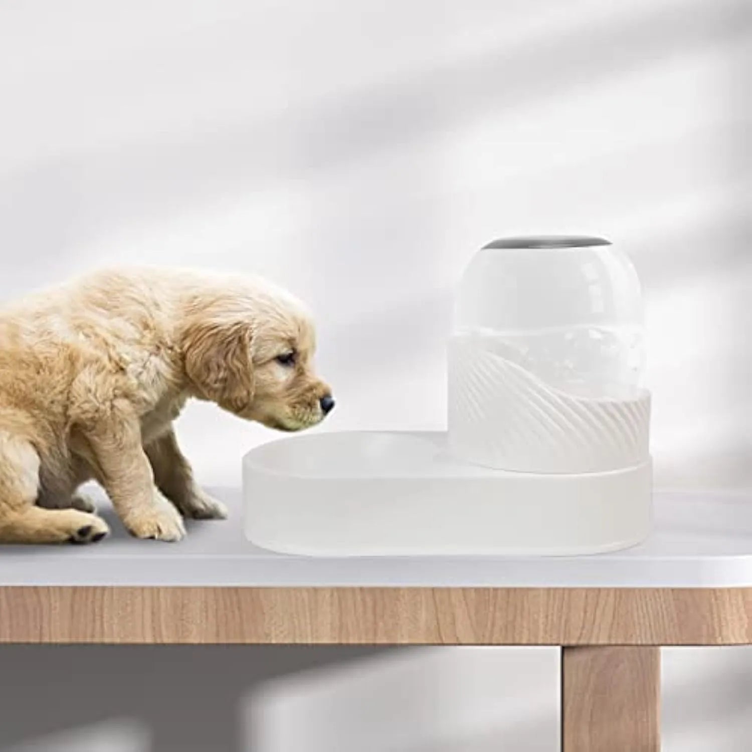 White automatic gravity cat feeder and water dispenser set with wave design shell.