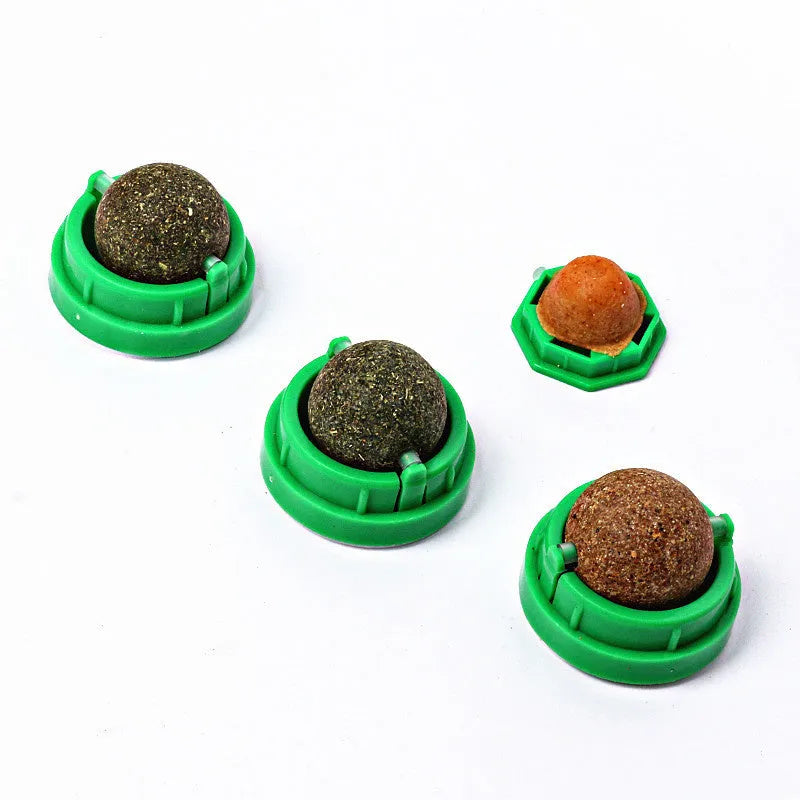 Colourful plastic cat toy with textured teeth cleaning surface in avocado bug baby fruit flavour