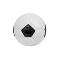 TPR dog toy ball with raised nibbling texture, shown in orange and white colour options